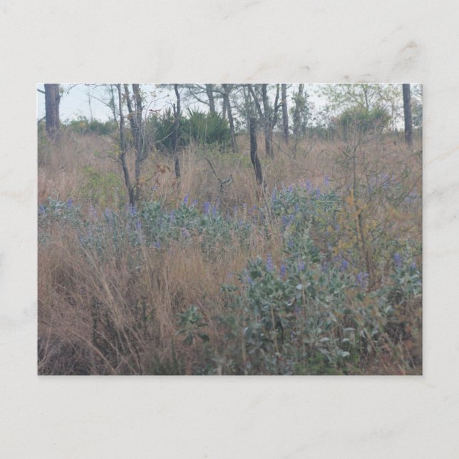 Blume und Pinsel Postkarte (Vorderseite)