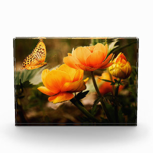 Blume und Schmetterling Fotoblock