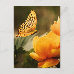 Blume und Schmetterling Frieden und Freude Postkarte
