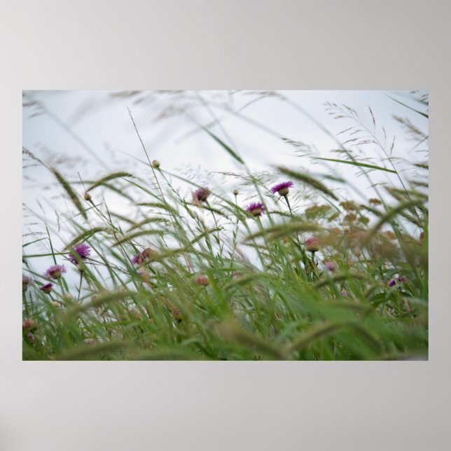 Blume- und Unkrautposter Poster (Vorne)