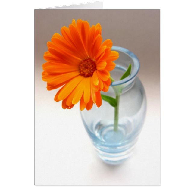 Blume und Vase (Vorne)