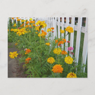 Blume und Zaun Postkarte