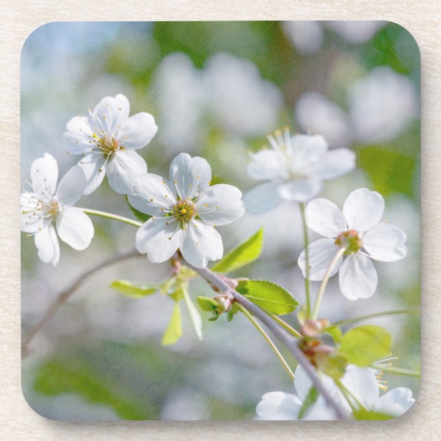 Blume Untersetzer (Vorderseite)