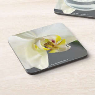 Blume Untersetzer