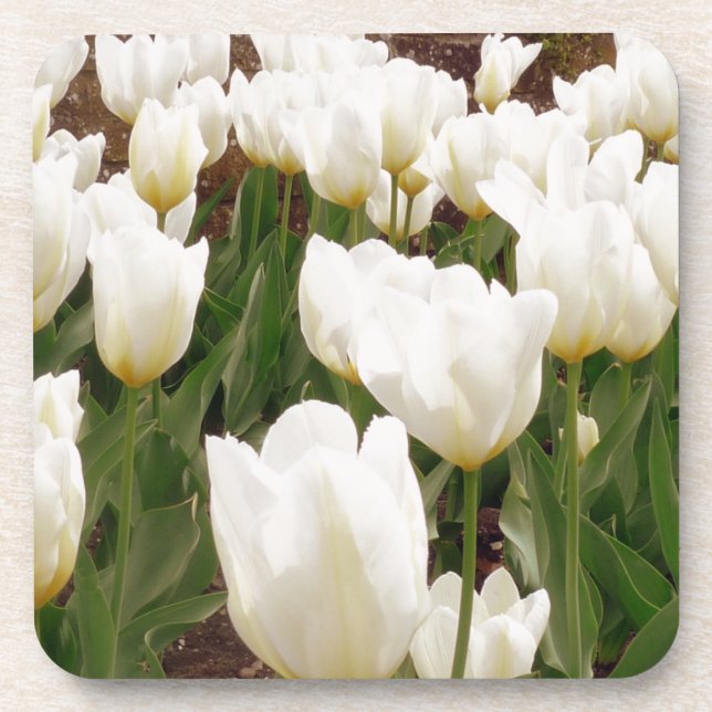Blume Untersetzer (Vorderseite)
