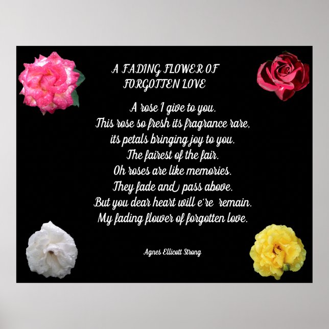 BLUME VERGESSEN LIEBE POEM POSTER (Vorne)