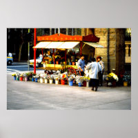 Blume Verkäufer, Santiago, Chile