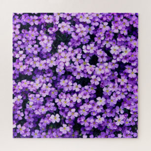 Blume - Violetten - Schön Puzzle