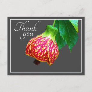 Blume von Ahorn, grauer Hintergrund Vielen Dank Postkarte