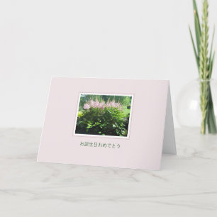 Blume von Astilbe 生 日 お お 誕 め で と う Karte