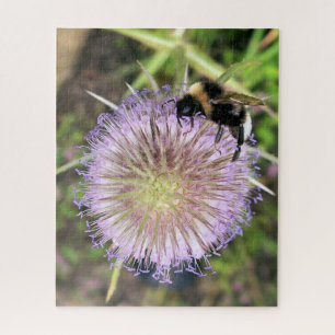 BLUME VON BIE UND TEASEL PUZZLE