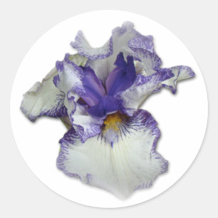 Blume von Blauer und Weißbär Runder Aufkleber