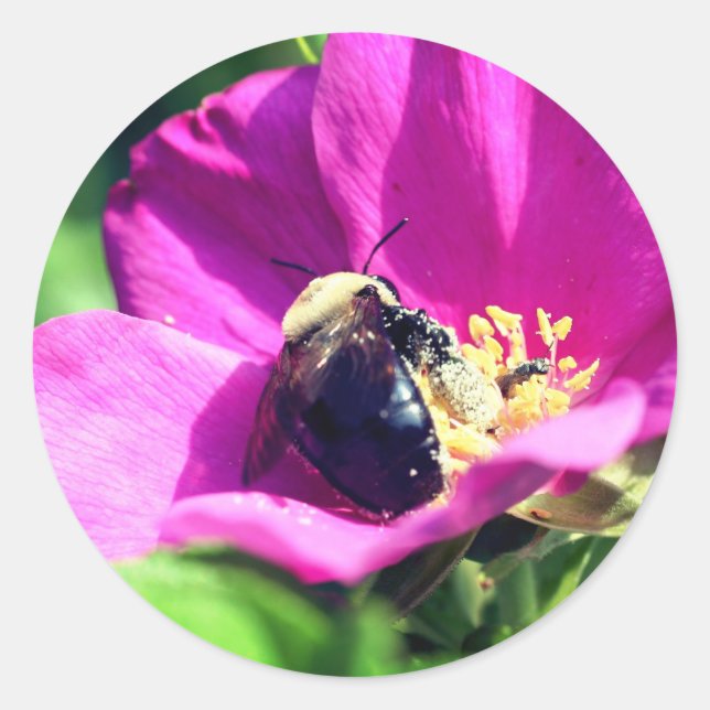 Blume von Doppel-Duty-Bienen Runder Aufkleber (Vorderseite)