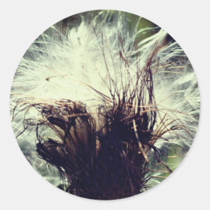 Blume von Flüssen Runder Aufkleber