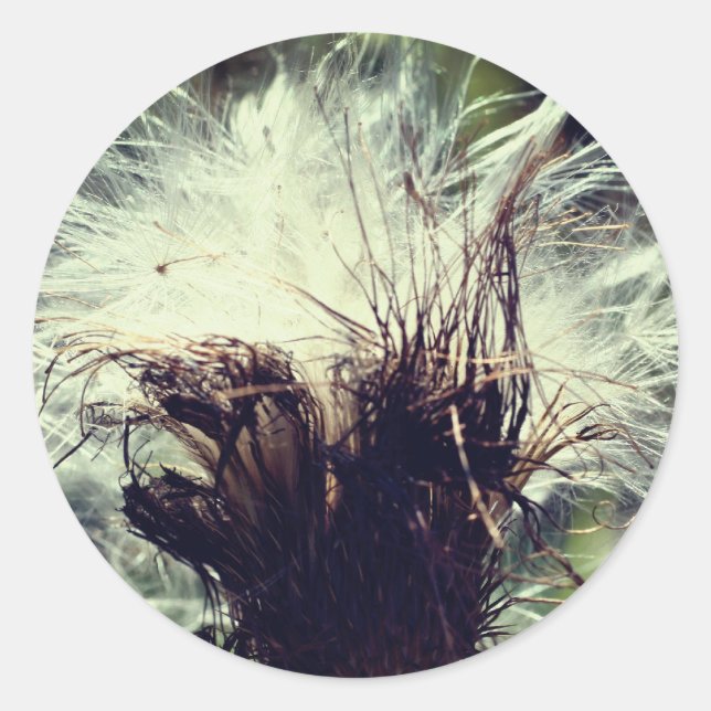 Blume von Flüssen Runder Aufkleber (Vorderseite)