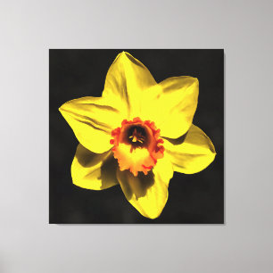 Blume von Graugelb-affodil Leinwanddruck