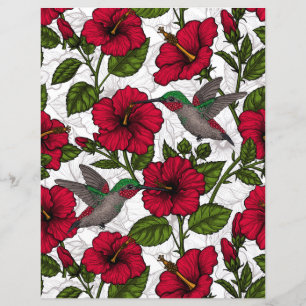 Blume von Hibisken und Kolibri