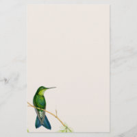 Blume von Hummingbird Vögeln Flora und Fauna