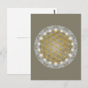 BLUME von LIFE - Sacred Geometrie Light 1 Postkarte
