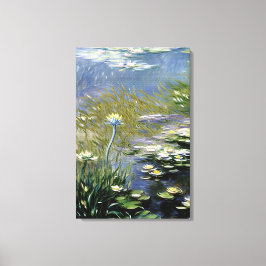 Blume von Lush Agapanthus in Giverny Leinwanddruck