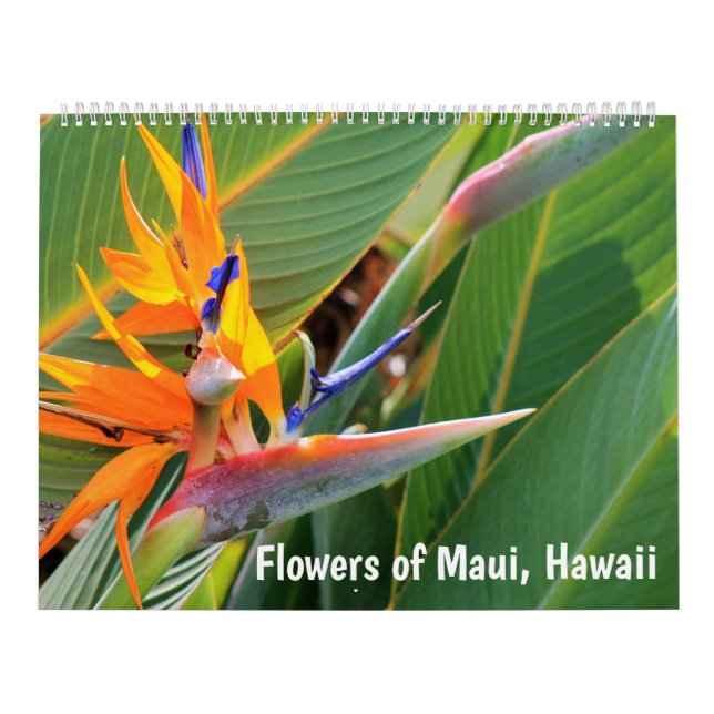 Blume von Maui Hawaii Kalender (Titelbild)