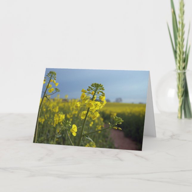 Blume von Ölraps Karte (Vorderseite)