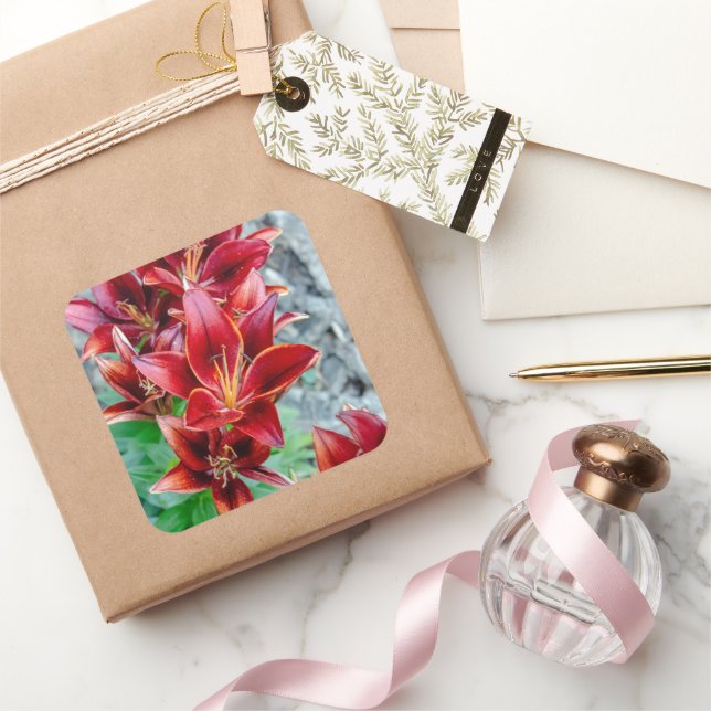 Blume von Red Stargazer Lily, kanadische Fotografi Quadratischer Aufkleber (Schenken)
