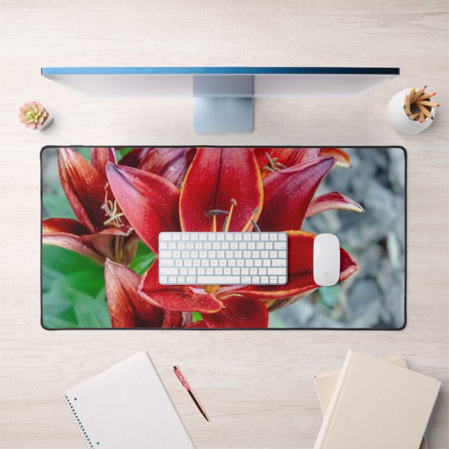 Blume von Red Stargazer Lily, kanadische Fotografi Schreibtischunterlage (Büro 1)