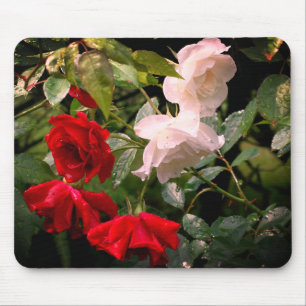 Blume von Rose Mousepad