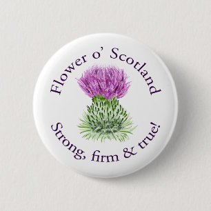 Blume von Schottland. Starke, feste und wahr! Button