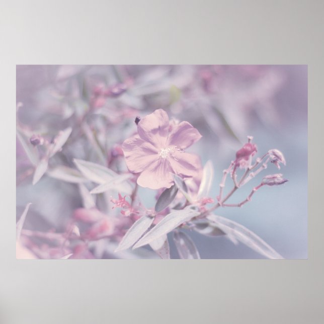 Blume von weichem Pastel Poster (Vorne)