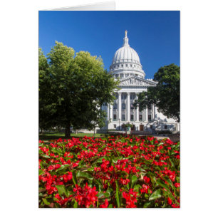 Blume vor dem Gebäude der Hauptstadt des Staat