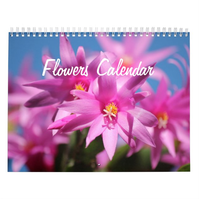 Blume-Wall-Kalender Kalender (Titelbild)