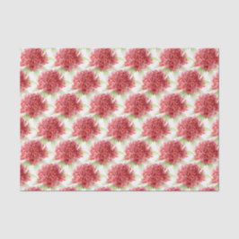 Blume Waratah Aquarell rotes botanisches Gewebepap Seidenpapier