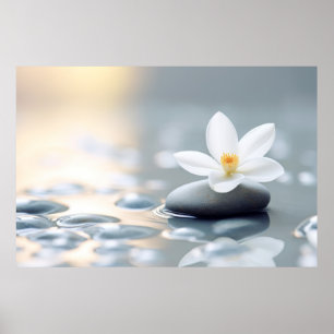 Blume Wasser Tropfen Natur Ruhe Poster