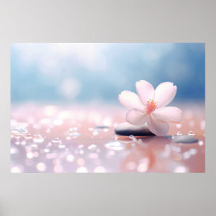 Blume Wasser Tropfen Natur Ruhe Poster