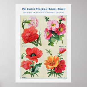 Blume Wasserfarbe 3 Poster