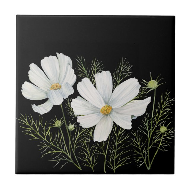 Blume Wasserfarbe Weißer Kosmos Botanische Malerei Fliese (Vorderseite)