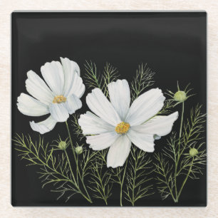 Blume Wasserfarbe Weißer Kosmos Botanische Malerei Glasuntersetzer