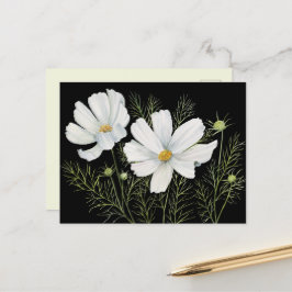 Blume Wasserfarbe Weißer Kosmos Botanische Malerei Postkarte