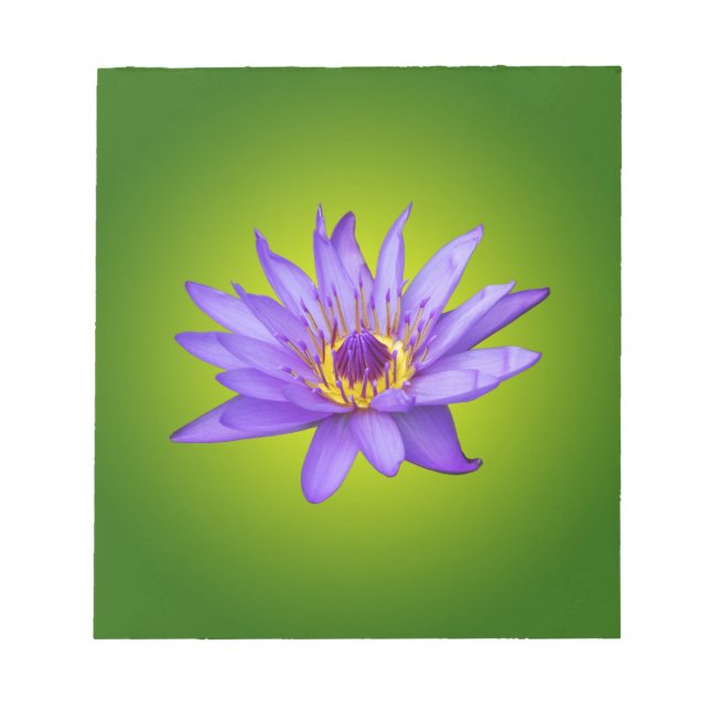 Blume Wasserlilie Wasserbecken Lila Wasser Blüte Notizblock (Vorderseite)