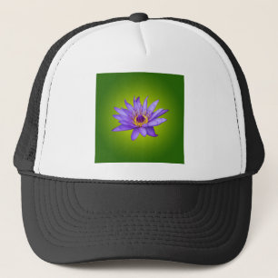 Blume Wasserlilie Wasserbecken Lila Wasser Blüte Truckerkappe