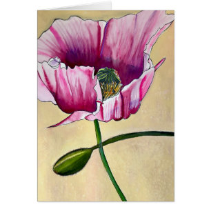 Blume Watercolor Pink Poppe