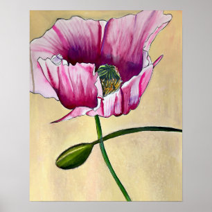 Blume Watercolor Pink Poppe Poster