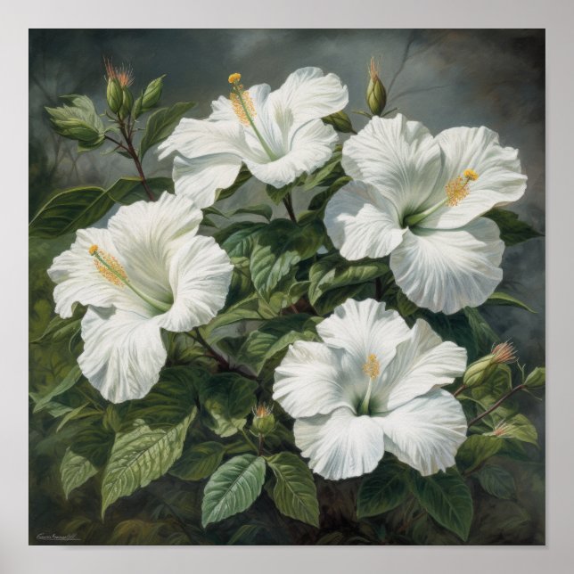 Blume Weißer Hibiskus Art Print Poster (Vorne)