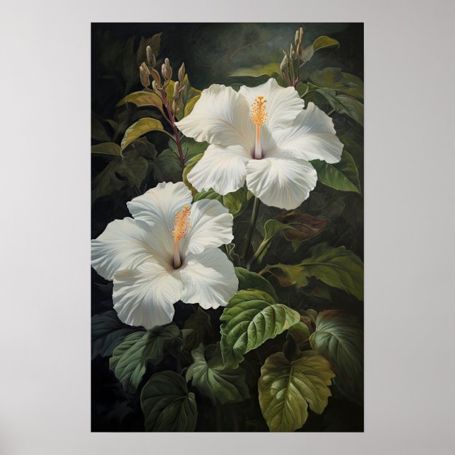 Blume Weißer Hibiskus Art Print Poster (Vorne)