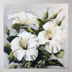 Blume Weißer Hibiskus Art Print Poster