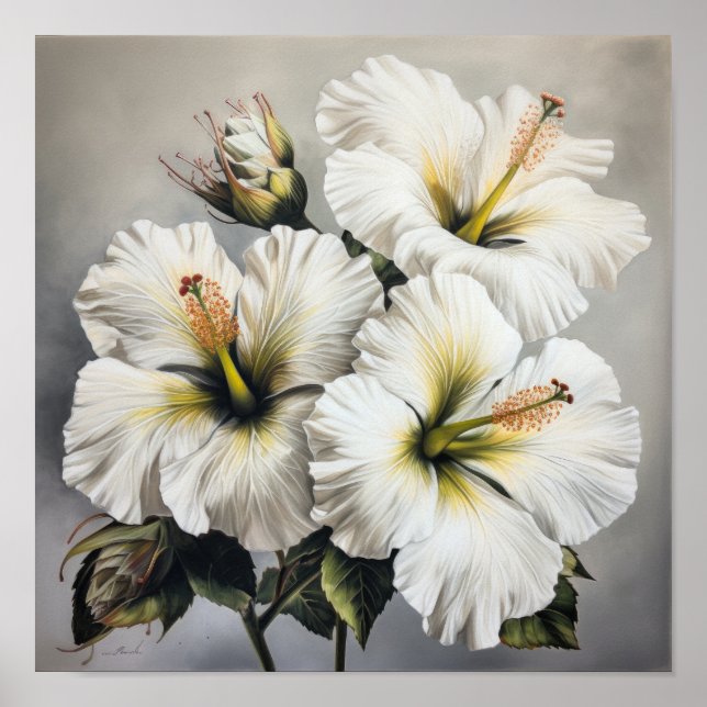 Blume Weißer Hibiskus Art Print Poster (Vorne)