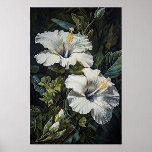 Blume Weißer Hibiskus Art Print Poster