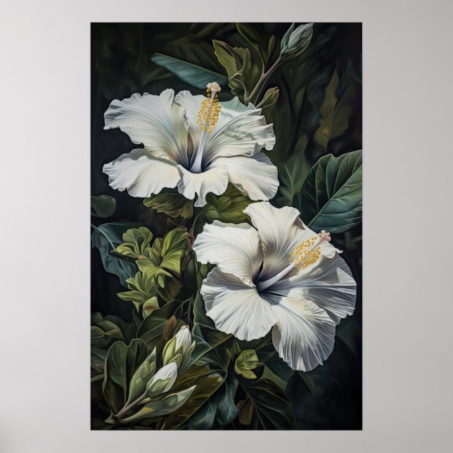 Blume Weißer Hibiskus Art Print Poster (Vorne)